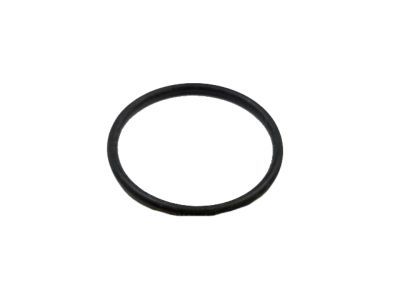 Ford Expedition Thermostat Gasket - F1VY-8255-A