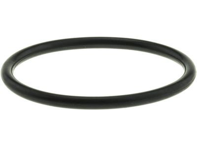 Ford Expedition Thermostat Gasket - F1VY-8255-A