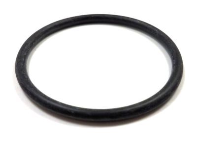 Ford Expedition Thermostat Gasket - F1VY-8255-A