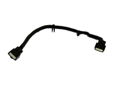 Lincoln DP5Z-14A411-G Socket And Wire Assembly - Lamp
