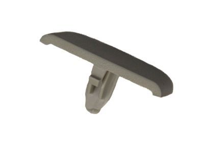 Lincoln DS7Z-4273-AA Cap - Screw
