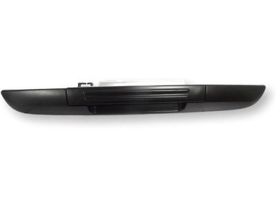 Ford 6L1Z-7843400-BKPTM Handle With Lock Cylinder And Key