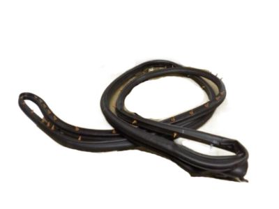 Lincoln Aviator Door Seal - 8L2Z-7825324-A
