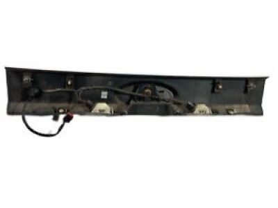 AL8Z-7841018-APTM Ford Molding, Silver, Rear Product Photo 2 of 4