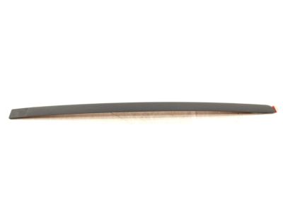 Mercury 5G1Z-5425556-BAPTM Molding - Door Outside