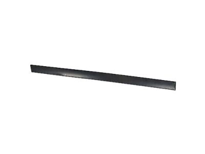 Mercury 5G1Z-5425556-BAPTM Molding - Door Outside