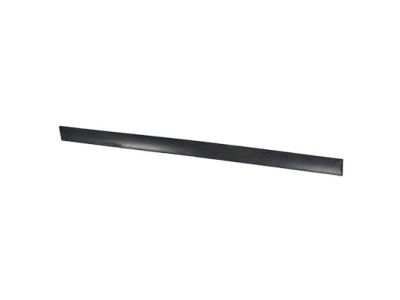Mercury 5G1Z-5425556-BAPTM Molding - Door Outside