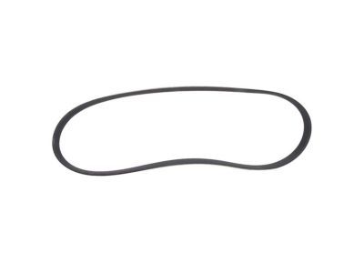 Lincoln Drive Belt - GB5Z-8620-A