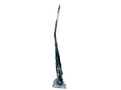 Ford DT1Z-17526-B Wiper Arm, Passenger Side DT1Z-17526-B Ford Wiper Arm, Passenger Side Product Photo 1 of 2
