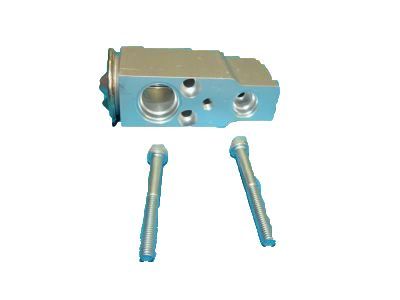 Lincoln MKS A/C Expansion Valve - 8G1Z-19849-A