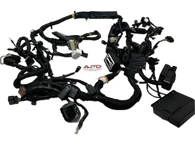 HA1Z-12A581-CW Ford Wire Assembly Product Photo 2 of 3