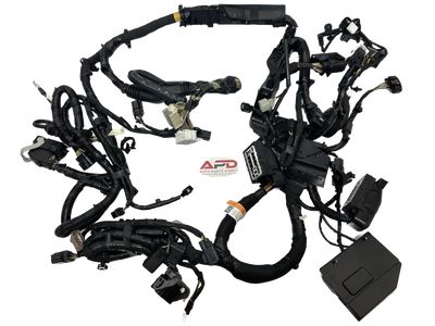 Ford HA1Z-12A581-CW Wire Assembly HA1Z-12A581-CW Ford Wire Assembly Product Photo 1 of 3