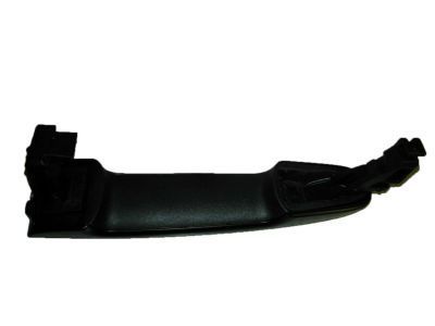 Ford DG1Z-5422404-BAPTM Handle Assembly - Door Outer
