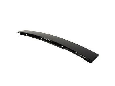 Mercury 1L2Z-7820555-AAA Molding - Door Outside