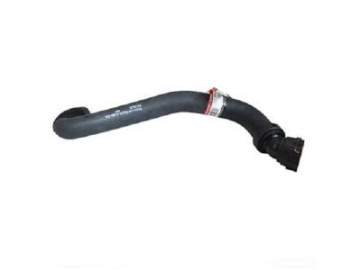 Ford CL3Z-8260-A Hose - Radiator