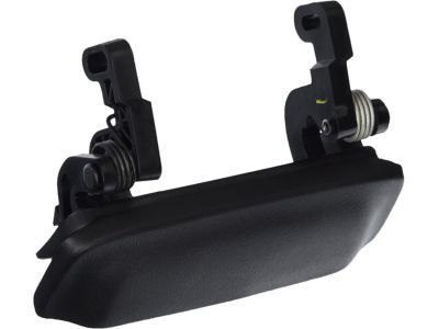 Ford 2L5Z-1022404-BAA Handle Assembly - Door Outer