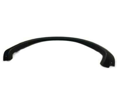 Ford YL3Z-8429165-AAA Moulding                           
