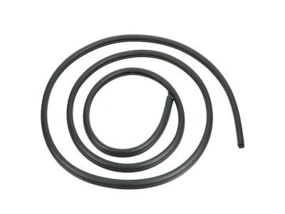Ford 4C2Z-1520709-AB Weatherstrip Assembly - Door Opening