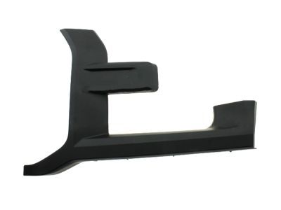 Ford HL3Z-17C755-BPTM Molding - Bumper Bar