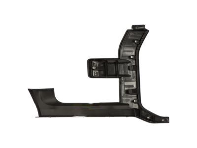 Ford HL3Z-17C755-BPTM Molding - Bumper Bar