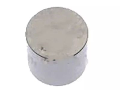 8G9Z-6500-BCA Ford Tappet - Valve Product Photo 1 of 2