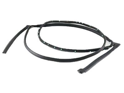 AA8Z-7425324-B Ford Door Weatherstrip, Rear Outer Passenger Side Product Photo 1 of 1