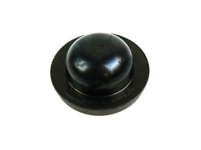 Lincoln Wheel Bearing Dust Cap - F1VY-1N135-A