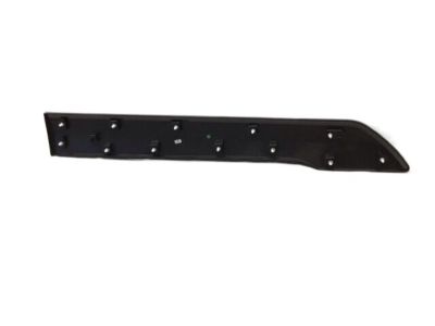 Ford DT1Z-6120879-BB Molding - Door Outside
