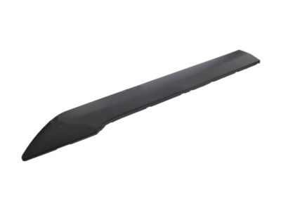 Ford DT1Z-6120879-BB Molding - Door Outside