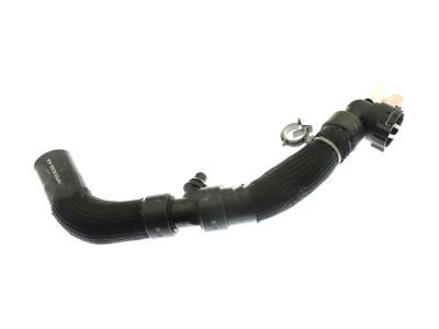 Ford Fusion Coolant Reservoir Hose - HP5Z-8286-A