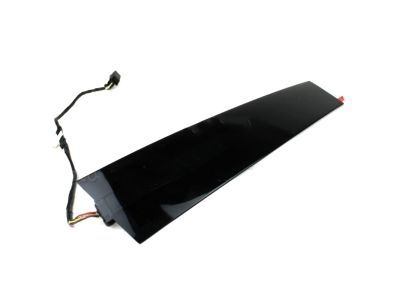 Ford AG1Z-5420555-BB Molding - Door Outside