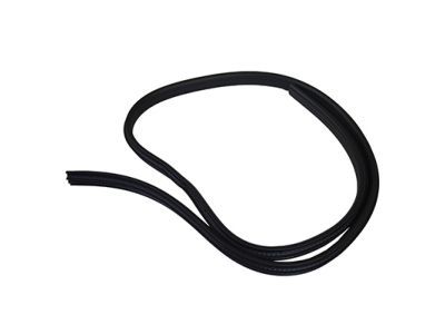 CV6Z-5825324-A Ford Weatherstrip On Body, Rear Inner Product Photo 1 of 3