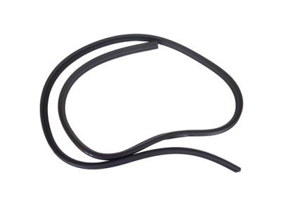 CV6Z-5825324-A Ford Weatherstrip On Body, Rear Inner Product Photo 2 of 3