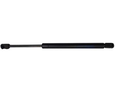 Ford F65Z-16C826-AA Lift Assembly - Gas