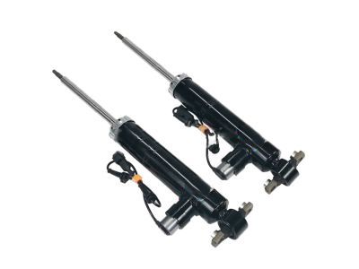 Lincoln Shock Absorber - EG9Z-18125-L