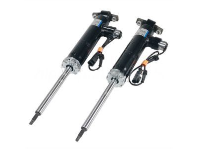 Lincoln Shock Absorber - EG9Z-18125-L