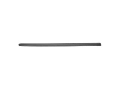 Ford 3L3Z-83291A40-AAB Moulding
