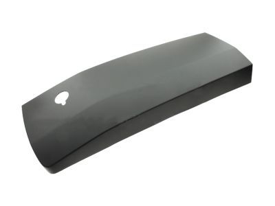 Ford CK4Z-99425B28-BB Molding - Door Outside