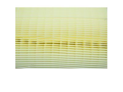 Ford HC3Z-9601-A Element Assembly - Air Cleaner