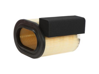 Ford HC3Z-9601-A Element Assembly - Air Cleaner