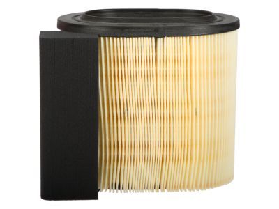 Ford HC3Z-9601-A Element Assembly - Air Cleaner