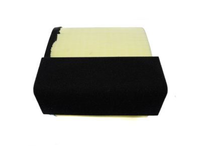 Ford HC3Z-9601-A Element Assembly - Air Cleaner