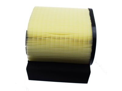 Ford HC3Z-9601-A Element Assembly - Air Cleaner