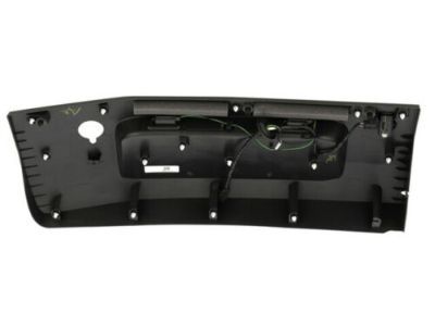 Ford JK4Z-99425B28-DA Molding - Door Outside