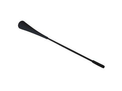Ford AR3Z-18813-A Antenna Mast AR3Z-18813-A Ford Antenna Mast Product Photo 1 of 3
