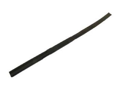 FR3Z-16A239-B Ford Weatherstrip, Driver Side Product Photo 3 of 4