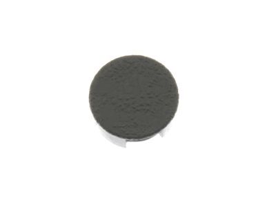 Ford CK4Z-4273-BB Lower Trim Panel Cap, Driver Side CK4Z-4273-BB Ford Lower Trim Panel Cap, Driver Side Product Photo 1 of 1