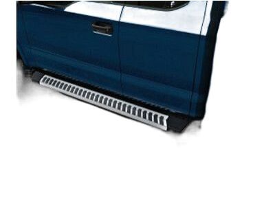 Ford FL3Z-16450-PB Step Assembly