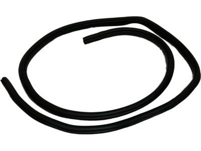 HL3Z-16253A11-A Ford Weatherstrip Assembly - Door Opening, Driver Side Product Photo 4 of 4