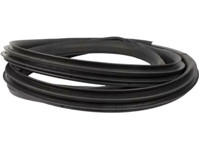 HL3Z-16253A11-A Ford Weatherstrip Assembly - Door Opening, Driver Side Product Photo 3 of 4